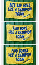 Champion Series Flags