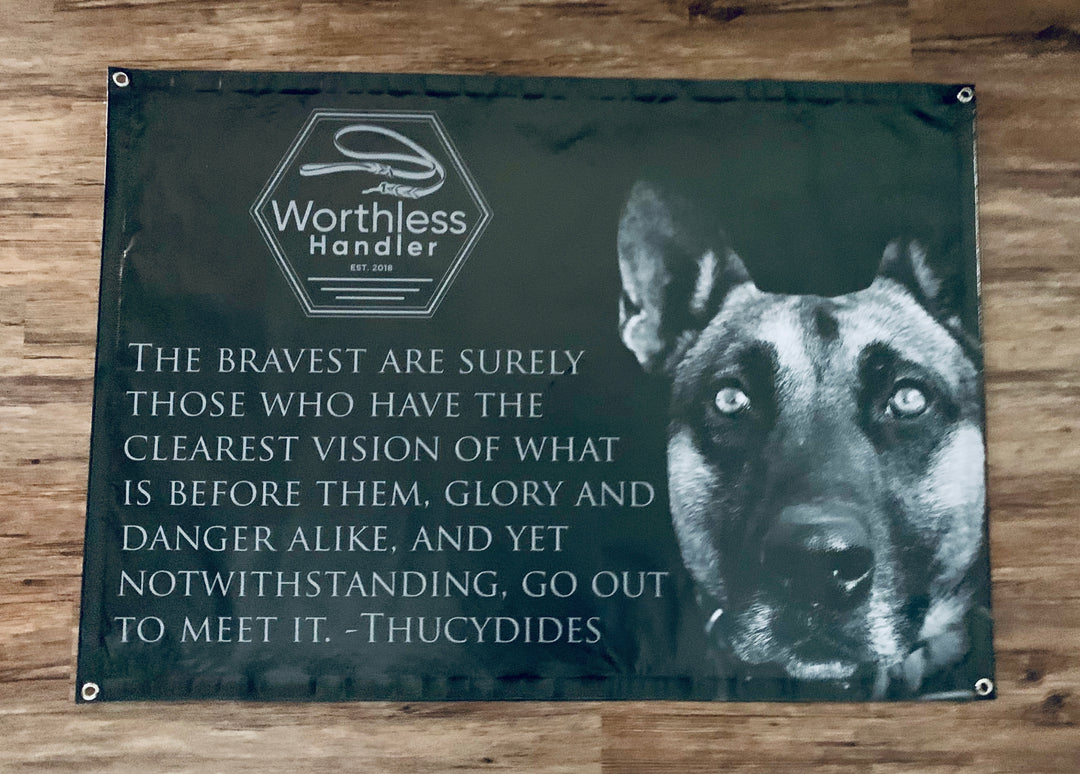 Worth Less Handler Admin Tested FLAGS – Worthless Handler