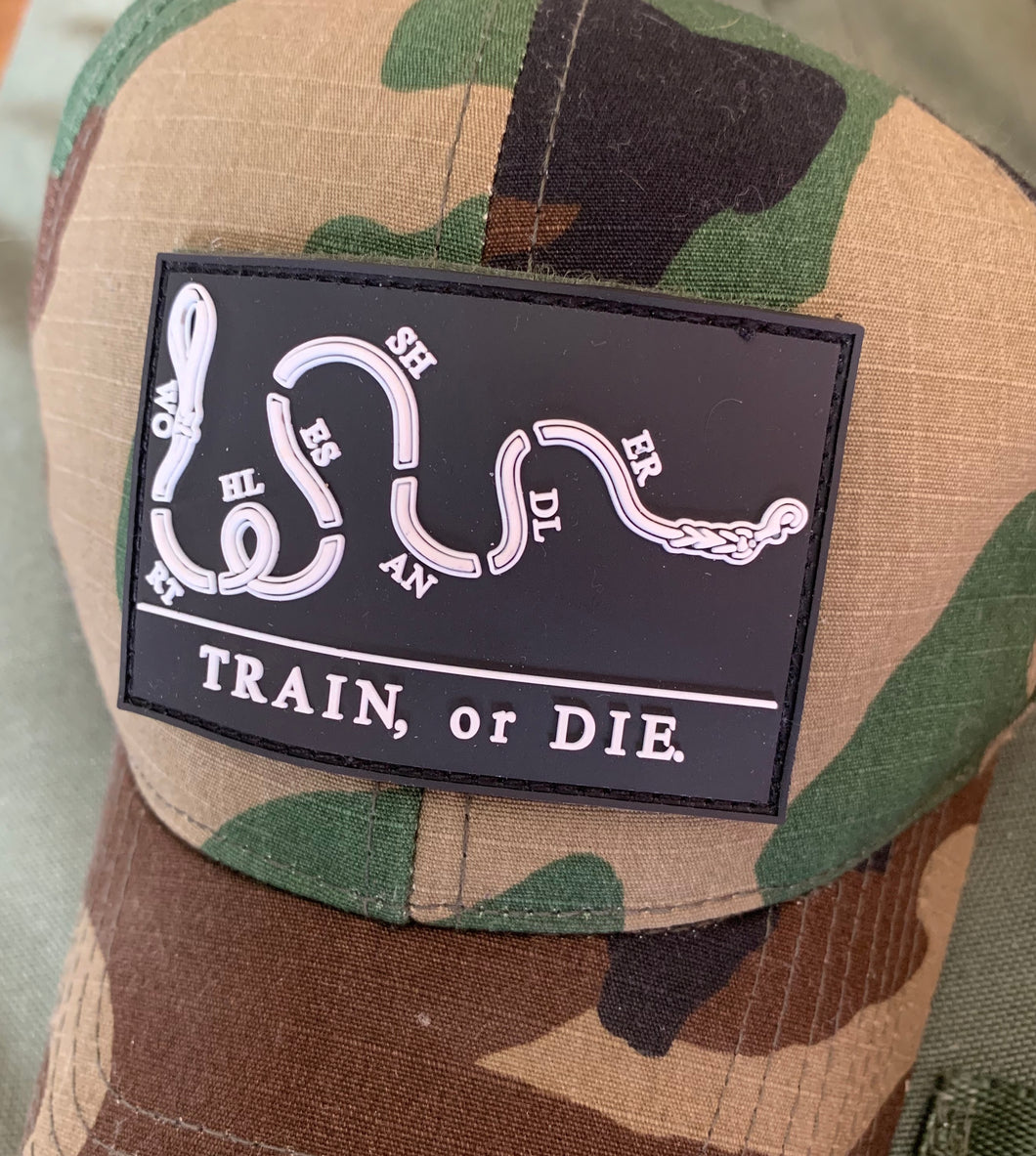 Train or Die patch