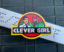 Clever Boy/Girl Sticker