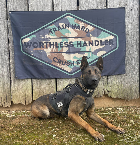 Worth Less Handler Admin Tested FLAGS – Worthless Handler