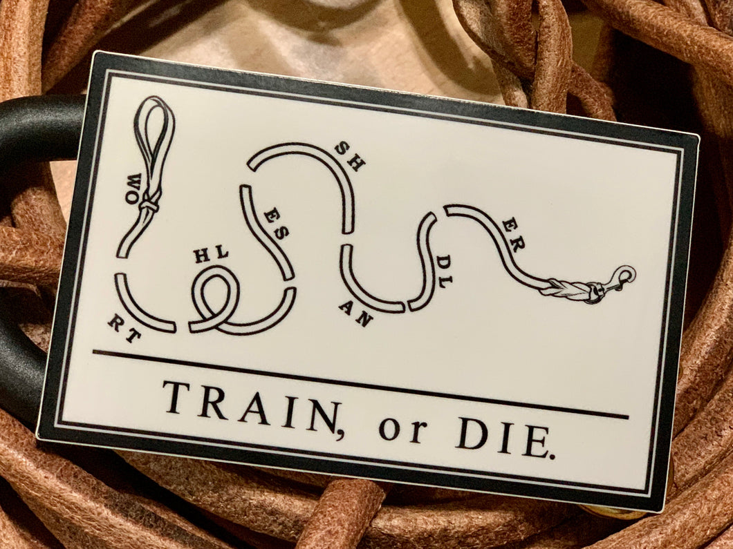 Train or Die Sticker